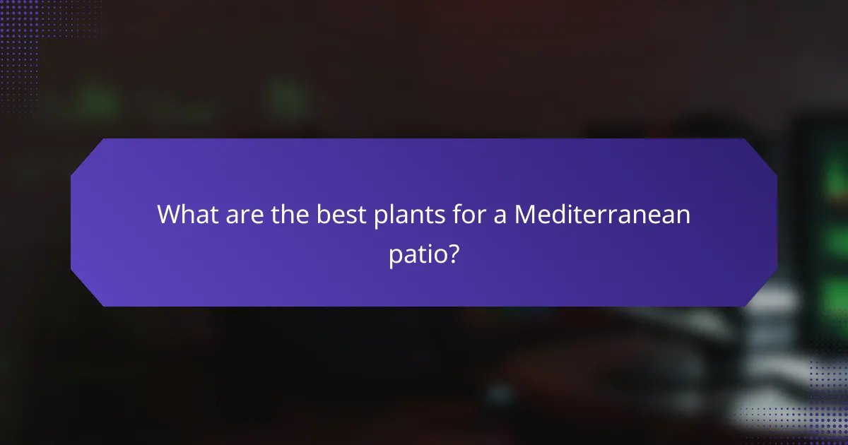 What are the best plants for a Mediterranean patio?